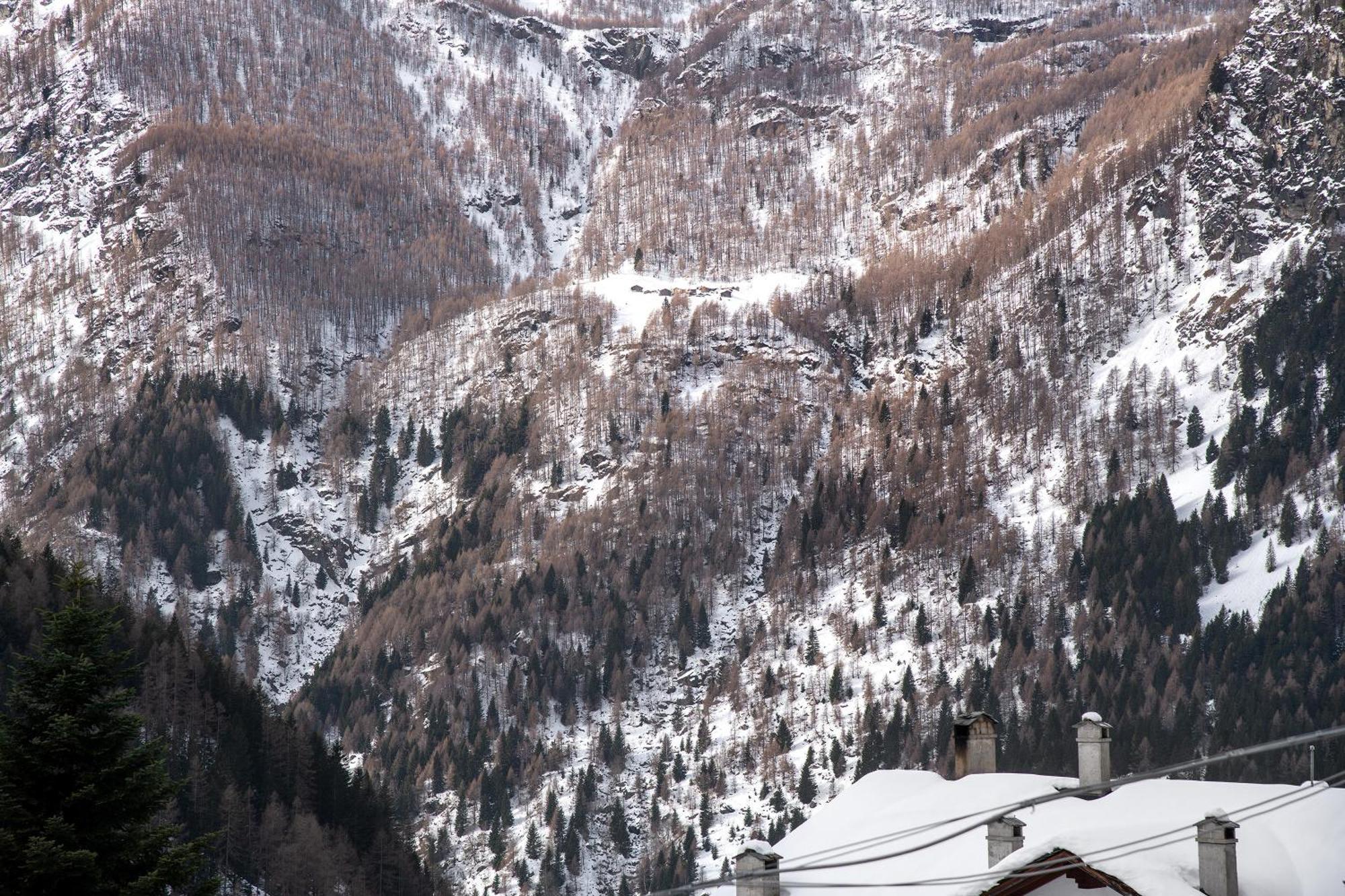 Residence Larice Bianco App N4 Campodolcino Dış mekan fotoğraf